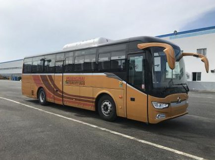 黄海汽车 黄海客车 136马力 72/24-48人 纯电动城市客车(DD6115BEV2)整拆件