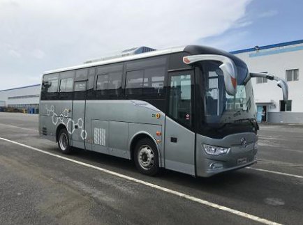 黄海汽车 黄海客车 116HP 44/16-34人 纯电动城市客车DD6820BEV1